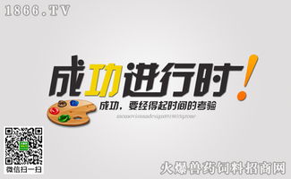 經銷商成功營銷的三個標準與落地實踐